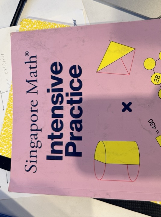 Singapore Math Intensive Practice 3A cover